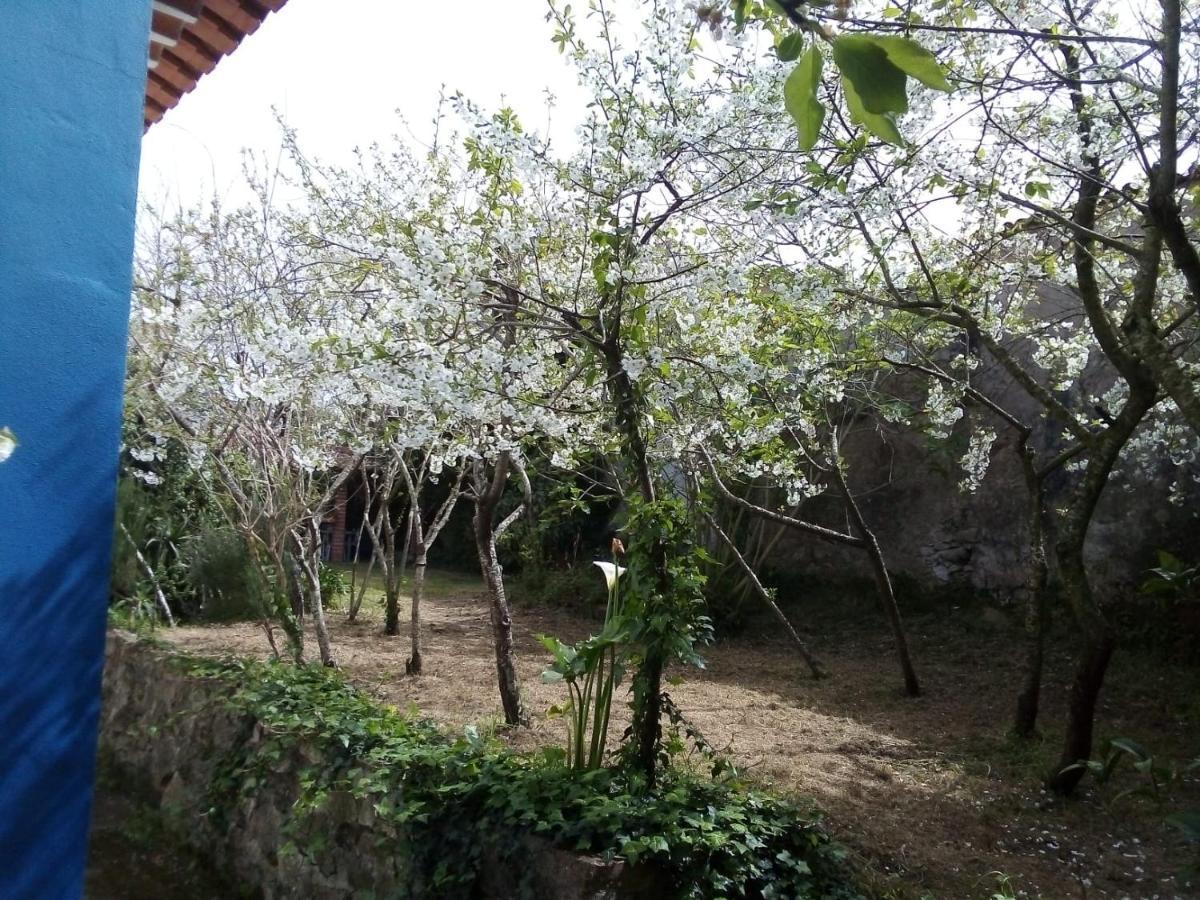 Casas Altas Obidos - Al Villa Sobral  Exterior foto